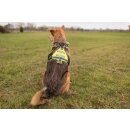Search dog harness